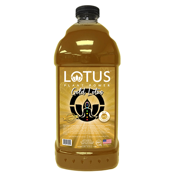 DP3000.01.png