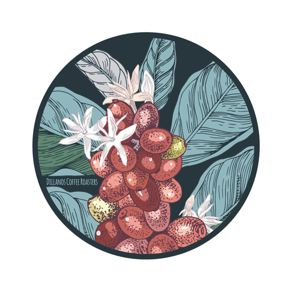 LO3881.Coffee Cherries.01.png